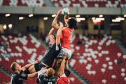 雷火电竞官方-沙漠铁骑的逆袭，2026世界杯四分之一决赛，摩洛哥如何用防守反击粉碎罗马尼亚，贝林厄姆点亮奇迹之夜