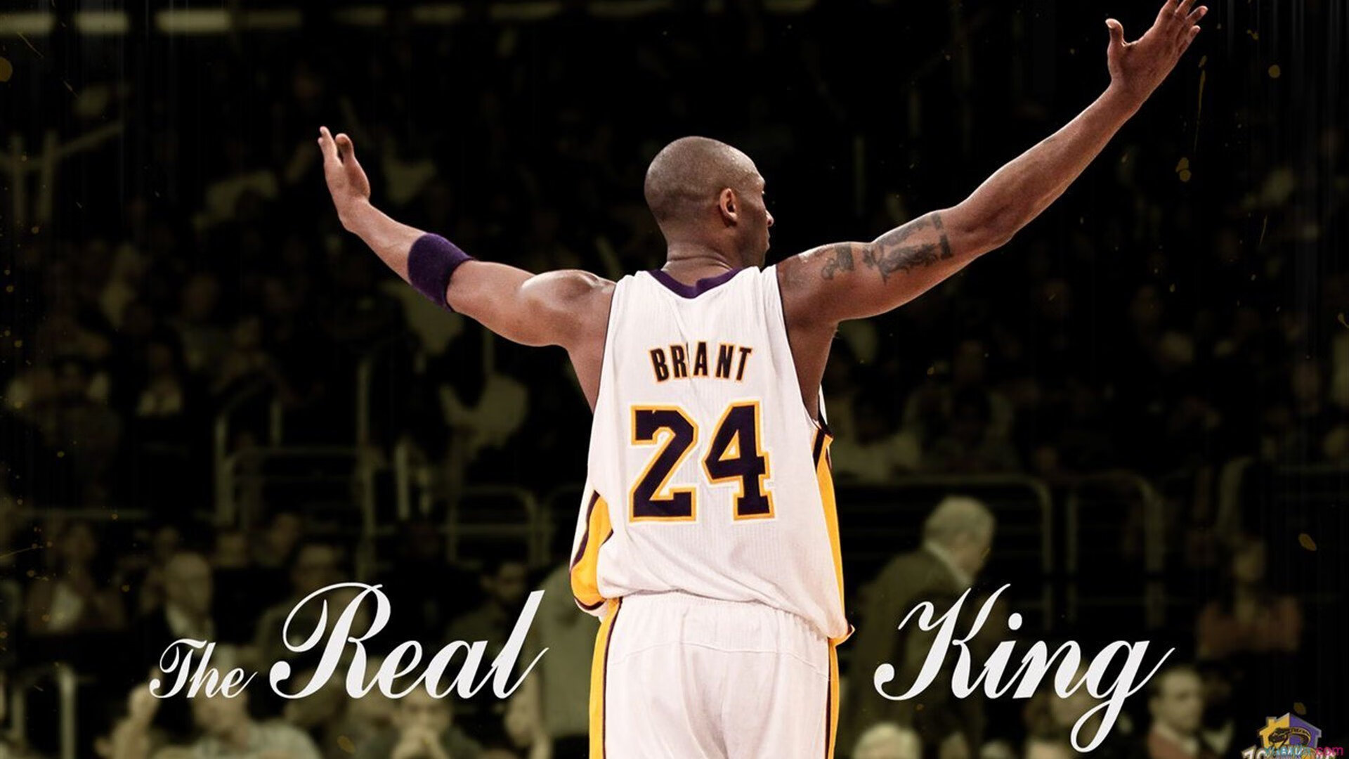 王权稳固，利刃出鞘，国王稳擒深圳，利拉德式稳定成制胜密钥