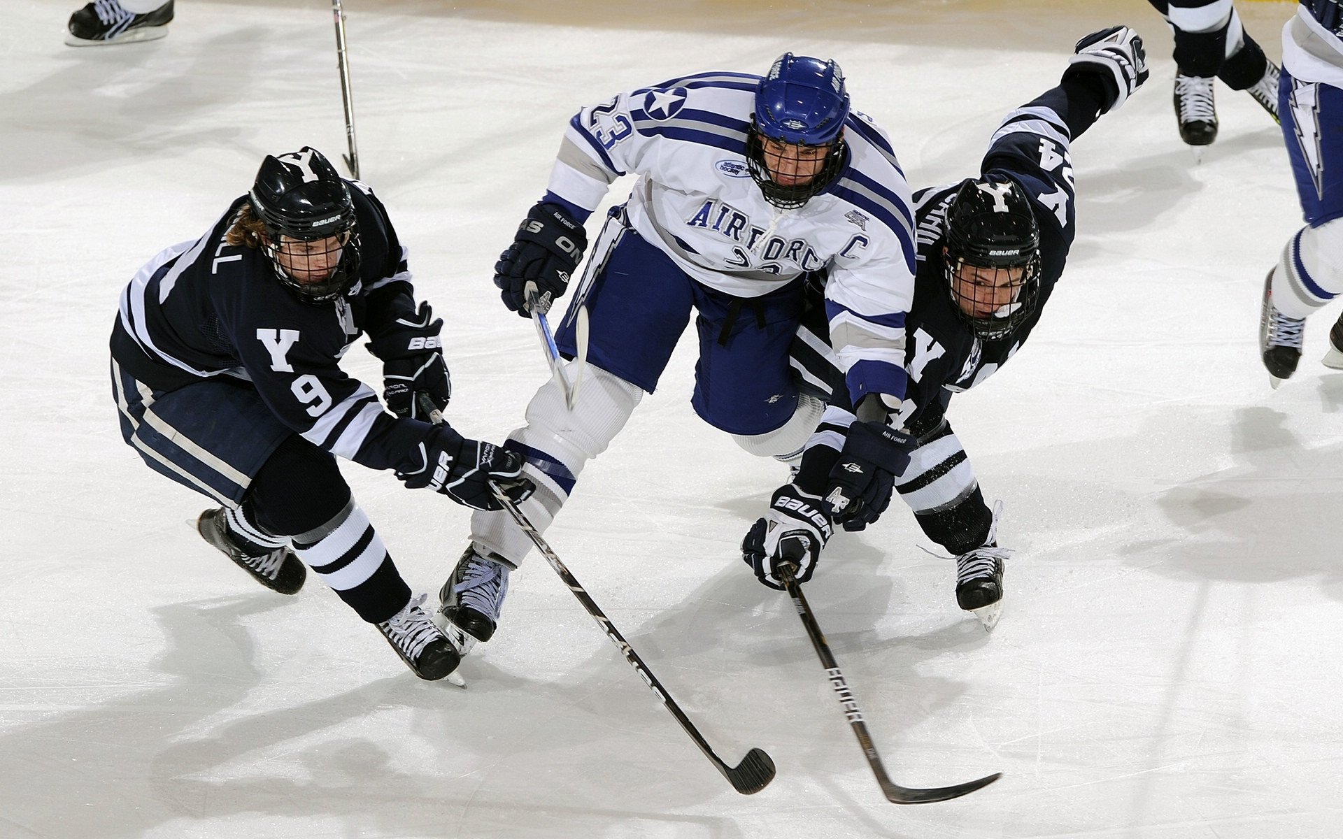 从NBA季后赛到雷恩争冠,跨越体育版图的胜利启示